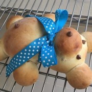 Teddy Bear - F2ECBF16-A90E-42ED-86E8-EC0EAED5D362